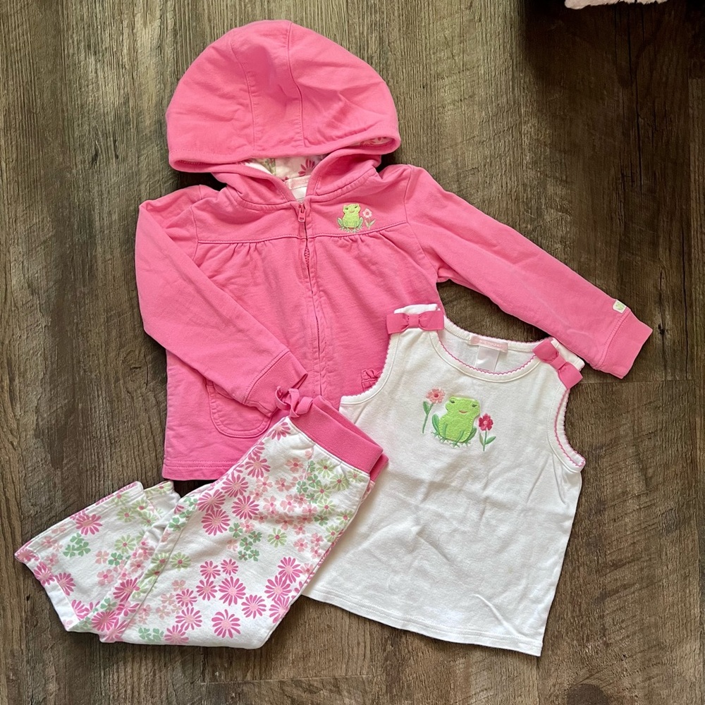 Janie and jack Floral Frog outfit bundle 2T